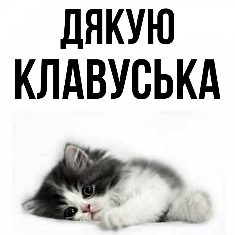 Открытка на каждый день з підписом, Клавуська Дякую черный и белый кот Прикольна листівка з побажанням онлайн скачати безкоштовно 