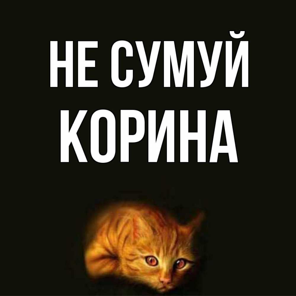 Открытка на каждый день з підписом, Корина Не сумуй лежащий кот в темноте Прикольна листівка з побажанням онлайн скачати безкоштовно 