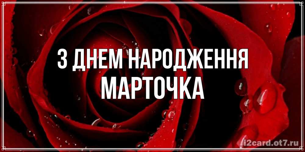 Открытка на каждый день з підписом, Марточка З Днем народження крупная бордовая роза Прикольна листівка з побажанням онлайн скачати безкоштовно 