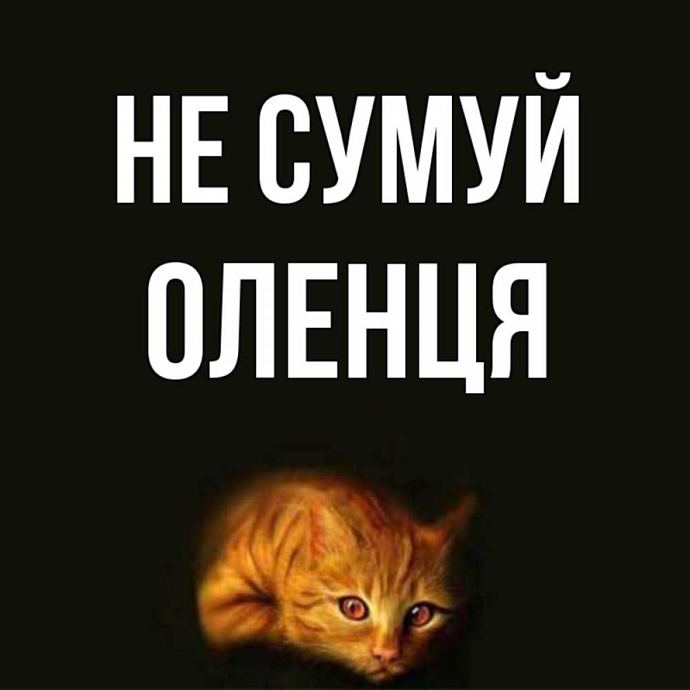 Открытка на каждый день з підписом, Оленця Не сумуй лежащий кот в темноте Прикольна листівка з побажанням онлайн скачати безкоштовно 
