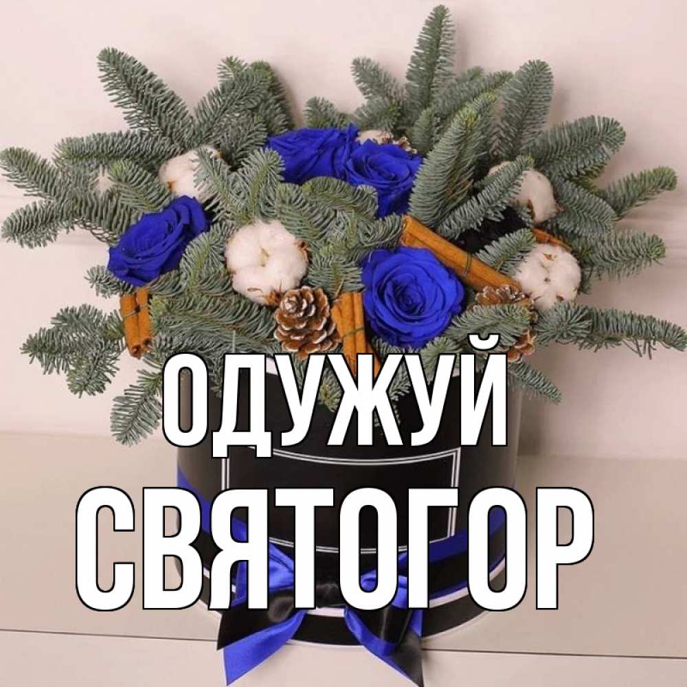 Открытка на каждый день з підписом, Святогор Одужуй короче кто то загрузил эти шишки Прикольна листівка з побажанням онлайн скачати безкоштовно 