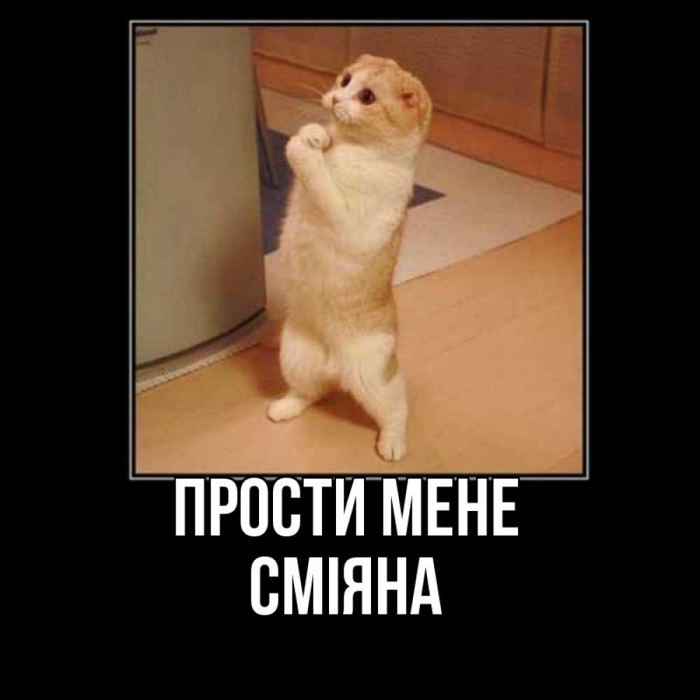 Открытка на каждый день з підписом, Сміяна Прости мене открытка с милым несчастным котиком просящим прощения Прикольна листівка з побажанням онлайн скачати безкоштовно 
