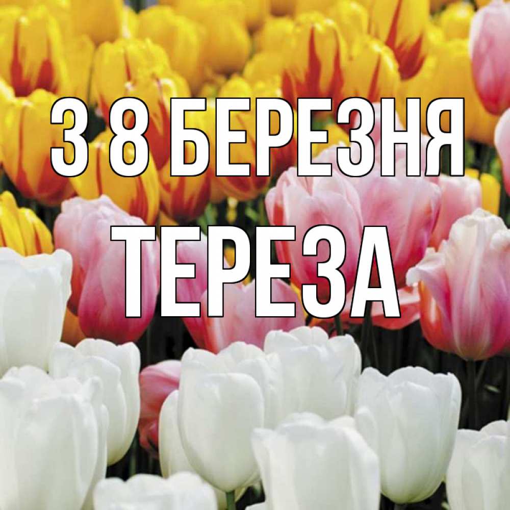 Открытка на каждый день з підписом, Тереза З 8 БЕРЕЗНЯ разноцветные цветы Прикольна листівка з побажанням онлайн скачати безкоштовно 