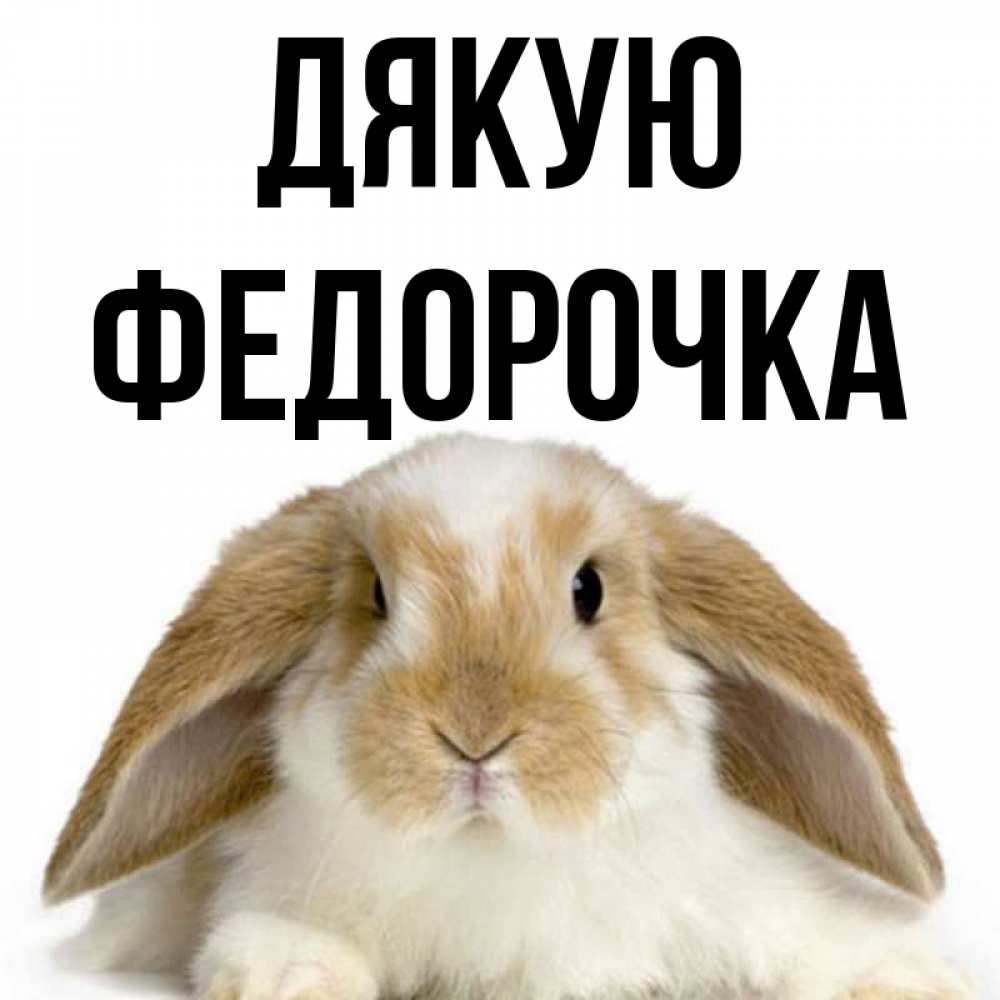 Открытка на каждый день з підписом, Федорочка Дякую коричнево белый заяц Прикольна листівка з побажанням онлайн скачати безкоштовно 
