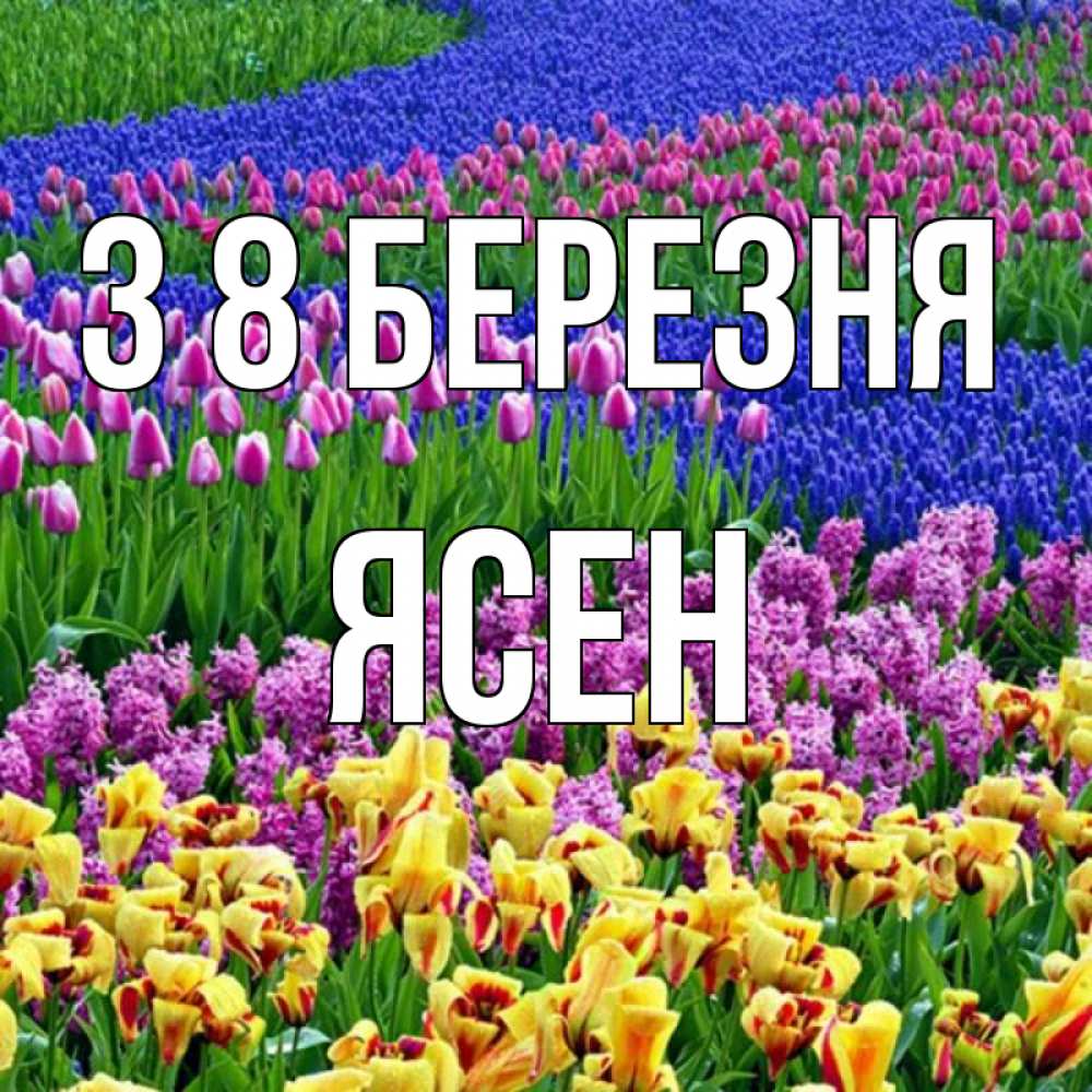 Открытка на каждый день з підписом, Ясен З 8 БЕРЕЗНЯ цветы Прикольна листівка з побажанням онлайн скачати безкоштовно 