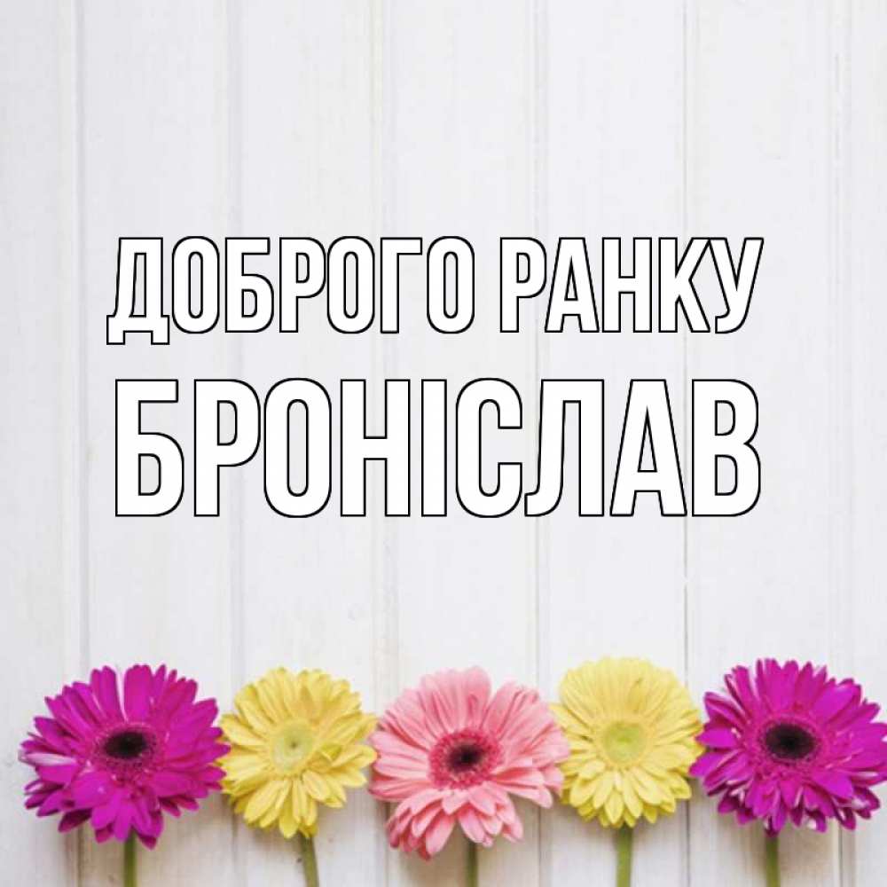Открытка на каждый день з підписом, Броніслав Доброго ранку красный желтый и розовый цветок Прикольна листівка з побажанням онлайн скачати безкоштовно 