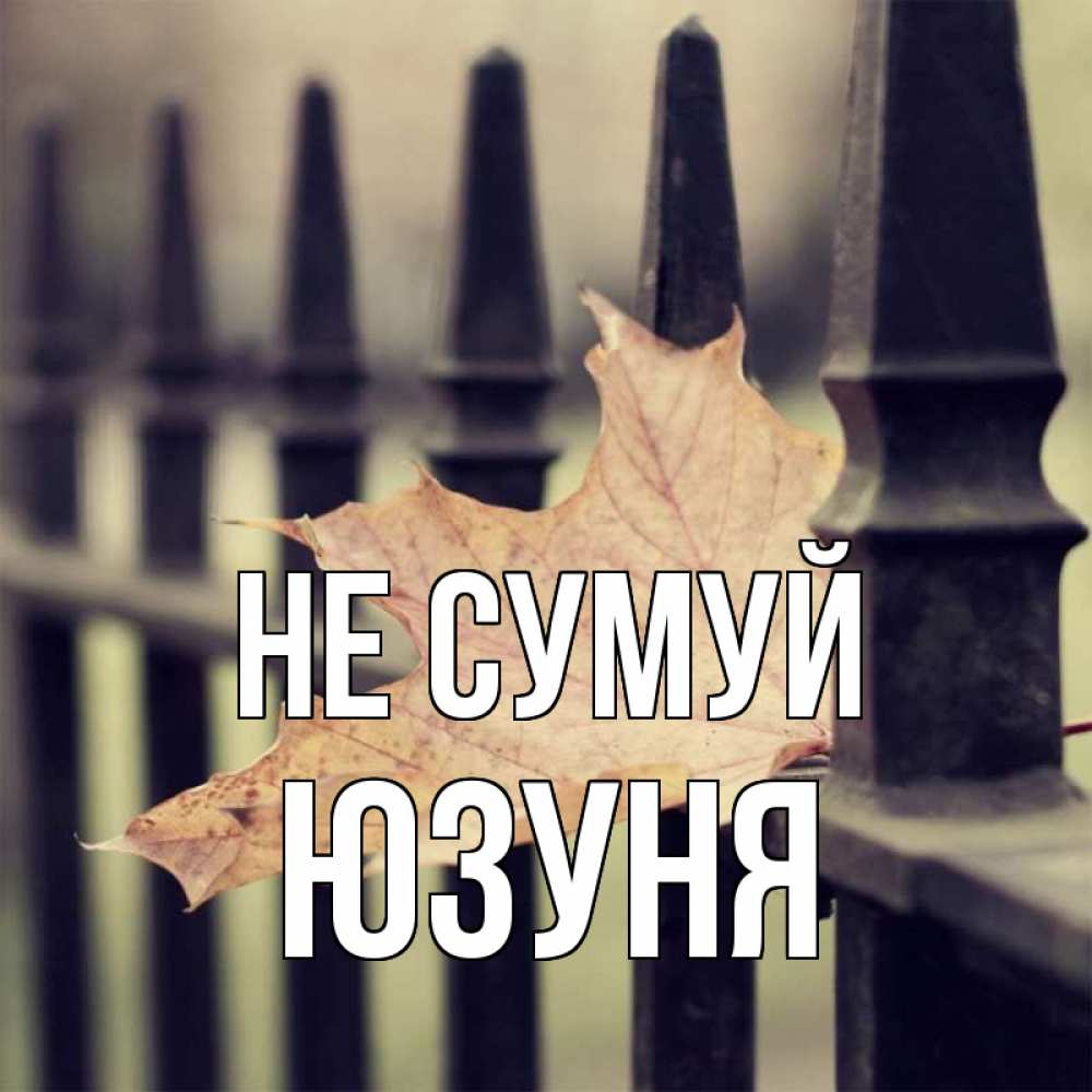 Открытка на каждый день з підписом, Юзуня Не сумуй лист клена Прикольна листівка з побажанням онлайн скачати безкоштовно 