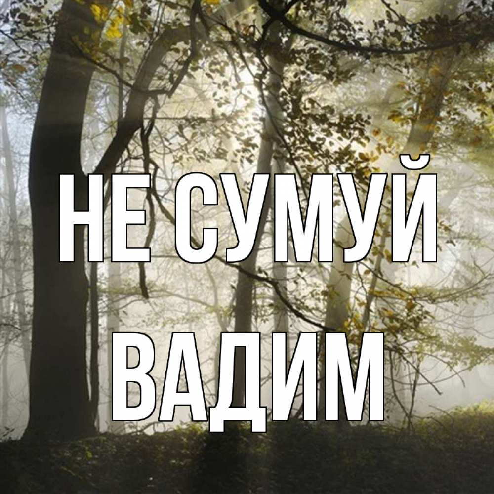 Открытка на каждый день з підписом, Вадим Не сумуй лес и свет Прикольна листівка з побажанням онлайн скачати безкоштовно 