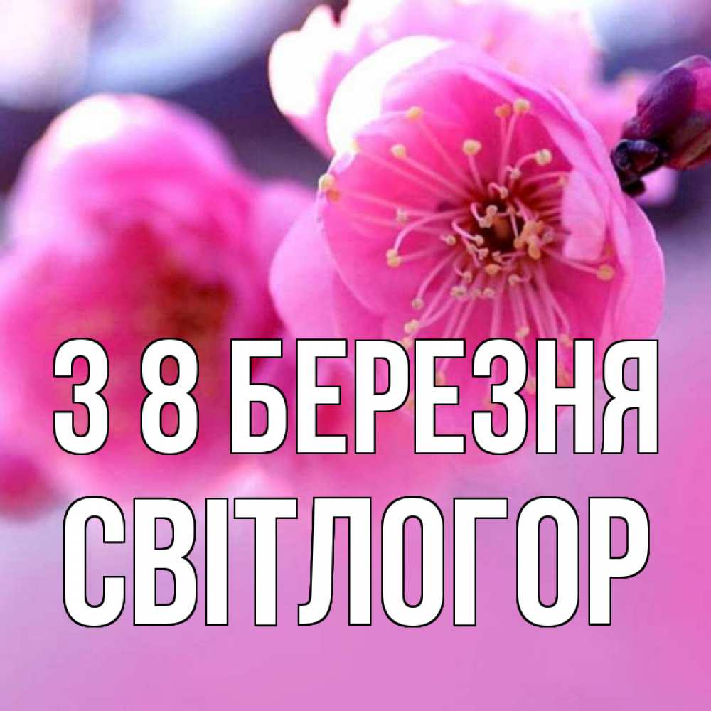 Открытка на каждый день з підписом, Світлогор З 8 БЕРЕЗНЯ международный женский день Прикольна листівка з побажанням онлайн скачати безкоштовно 