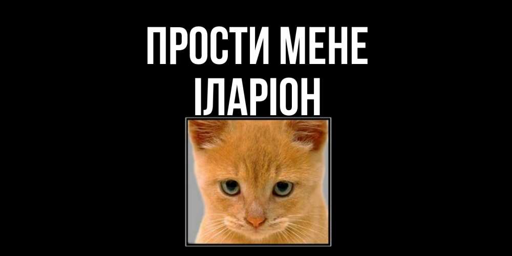 Открытка на каждый день з підписом, Іларіон Прости мене рыжий грустный кот просит прощения Прикольна листівка з побажанням онлайн скачати безкоштовно 