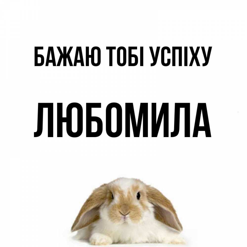 Открытка на каждый день з підписом, Любомила Бажаю тобі успіху открытки с произвольным текстом который можно вставить в открытку и создать ее самостоятельно бесплатно онлайн Прикольна листівка з побажанням онлайн скачати безкоштовно 