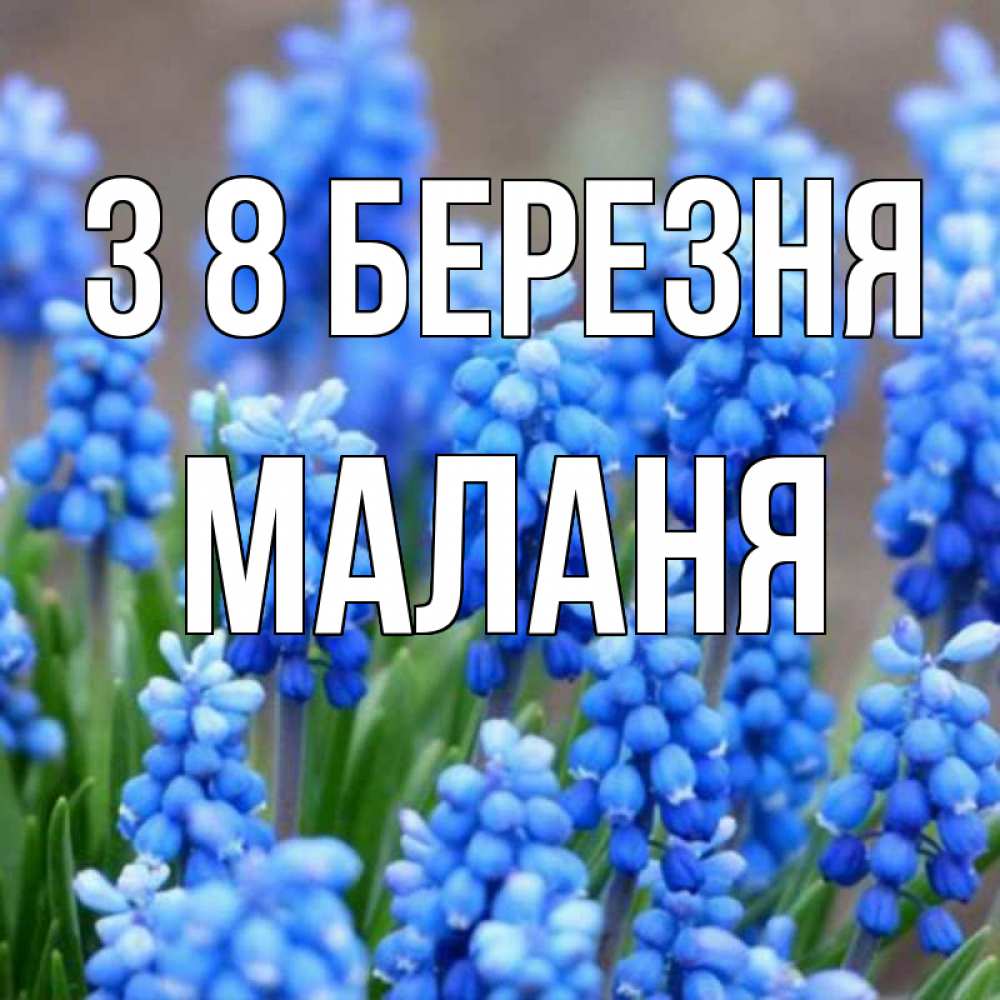 Открытка на каждый день з підписом, Маланя З 8 БЕРЕЗНЯ Поздравительная открытка для женщин с цветами на праздничную дату Прикольна листівка з побажанням онлайн скачати безкоштовно 