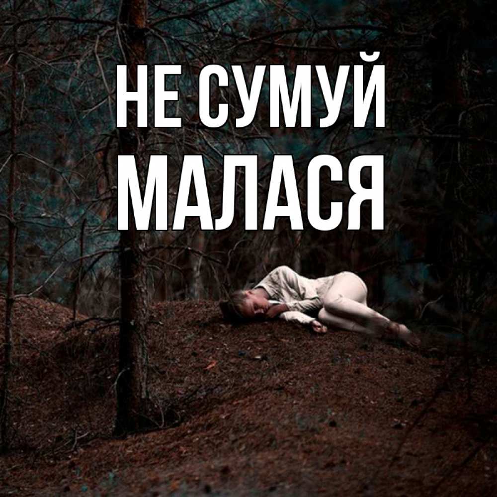 Открытка на каждый день з підписом, Малася Не сумуй лес Прикольна листівка з побажанням онлайн скачати безкоштовно 