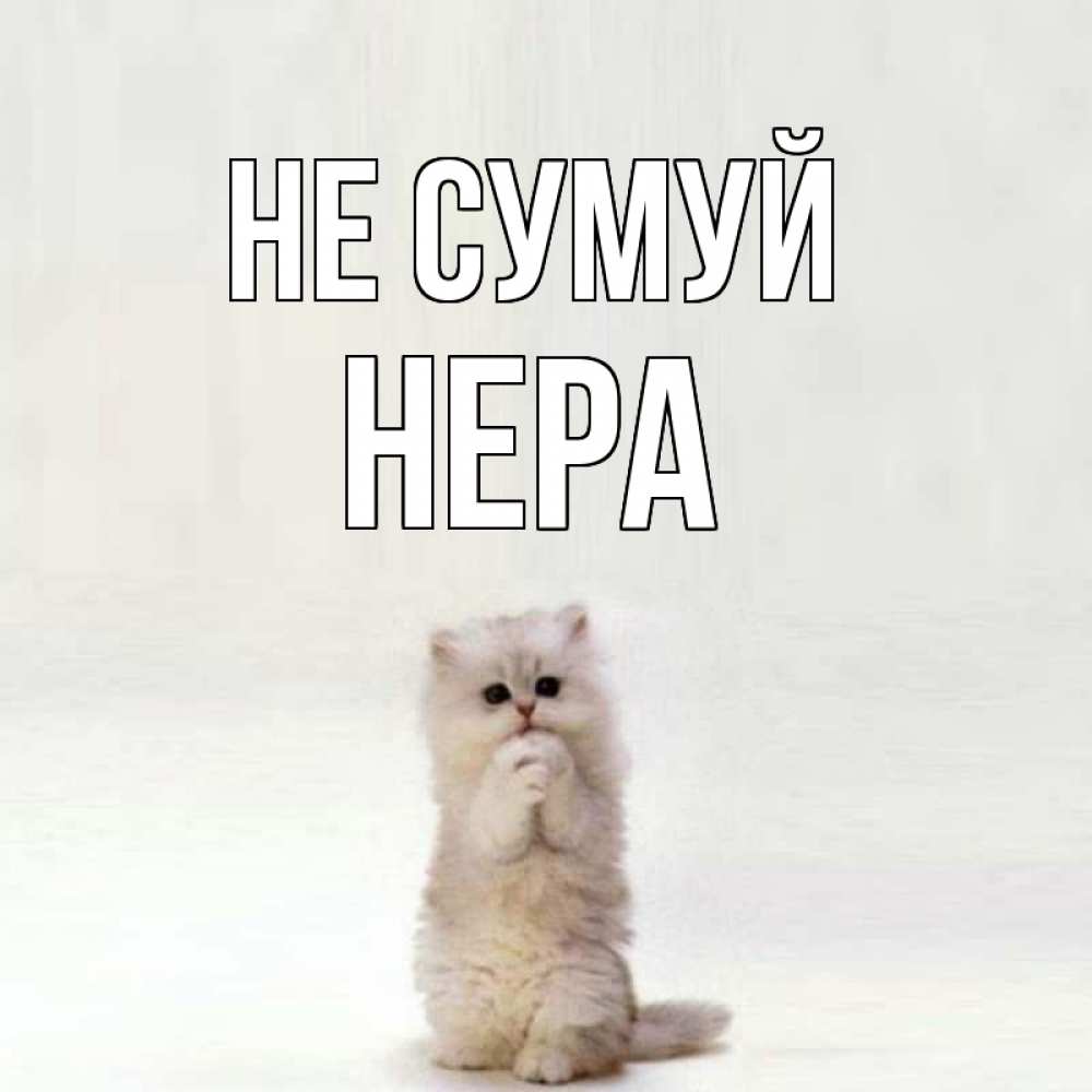 Открытка на каждый день з підписом, Нера Не сумуй грустный кот Прикольна листівка з побажанням онлайн скачати безкоштовно 