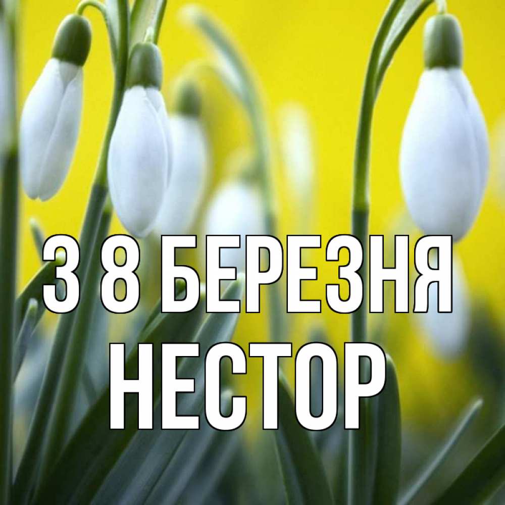 Открытка на каждый день з підписом, Нестор З 8 БЕРЕЗНЯ весенние цветы Прикольна листівка з побажанням онлайн скачати безкоштовно 
