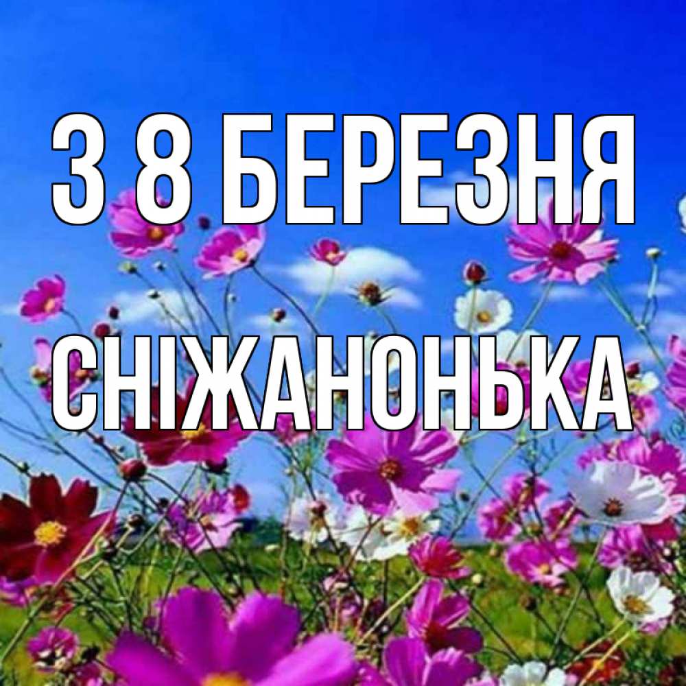 Открытка на каждый день з підписом, Сніжанонька З 8 БЕРЕЗНЯ цветы Прикольна листівка з побажанням онлайн скачати безкоштовно 