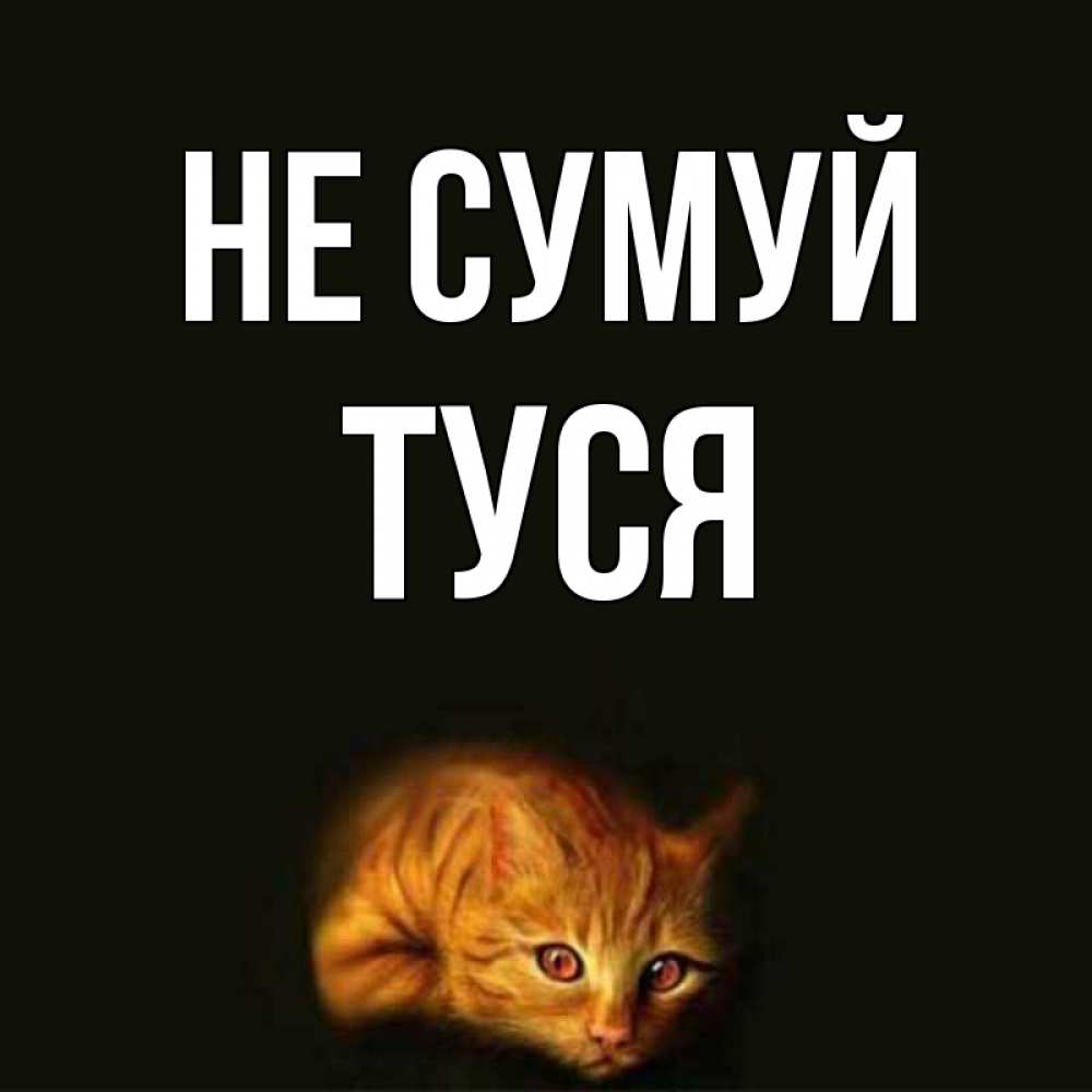 Открытка на каждый день з підписом, Туся Не сумуй лежащий кот в темноте Прикольна листівка з побажанням онлайн скачати безкоштовно 