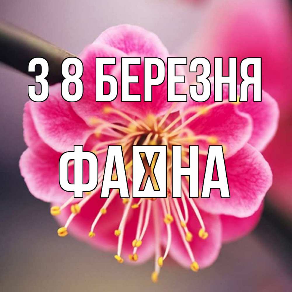 Открытка на каждый день з підписом, Фаїна З 8 БЕРЕЗНЯ цветы Прикольна листівка з побажанням онлайн скачати безкоштовно 