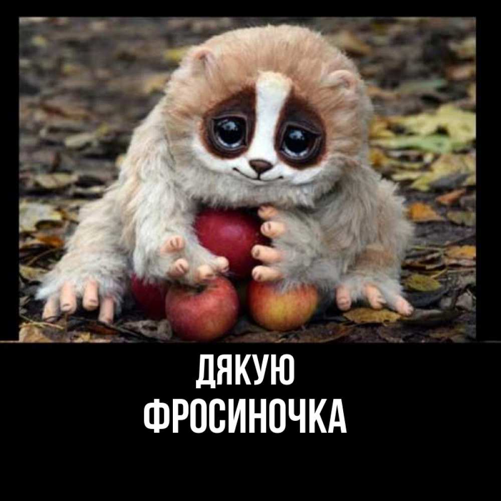 Открытка на каждый день з підписом, Фросиночка Дякую прикольное животное Прикольна листівка з побажанням онлайн скачати безкоштовно 