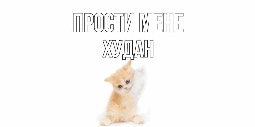 Открытка на каждый день з підписом, Худан Прости мене кот Прикольна листівка з побажанням онлайн скачати безкоштовно 