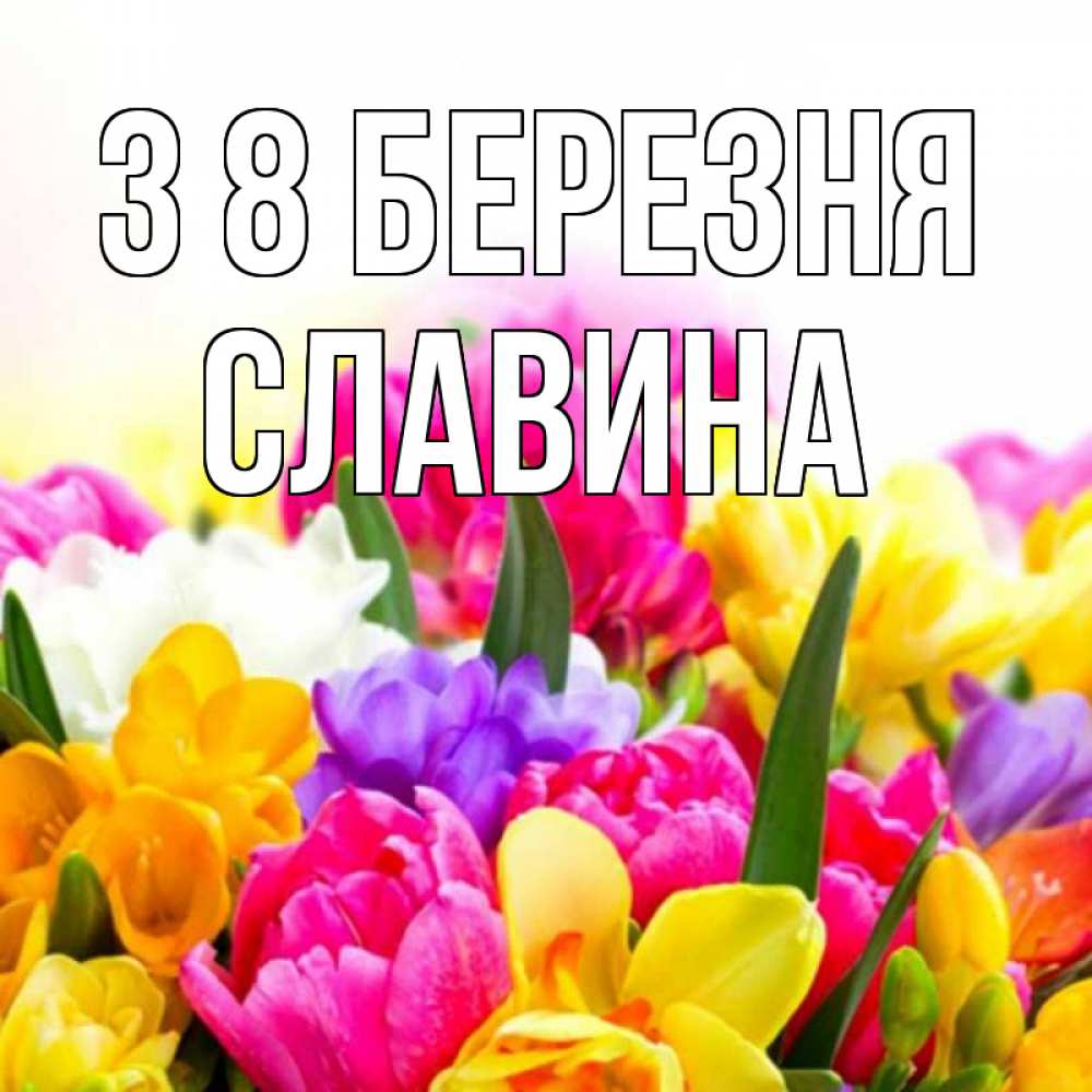 Открытка на каждый день з підписом, Славина З 8 БЕРЕЗНЯ тюльпаны Прикольна листівка з побажанням онлайн скачати безкоштовно 