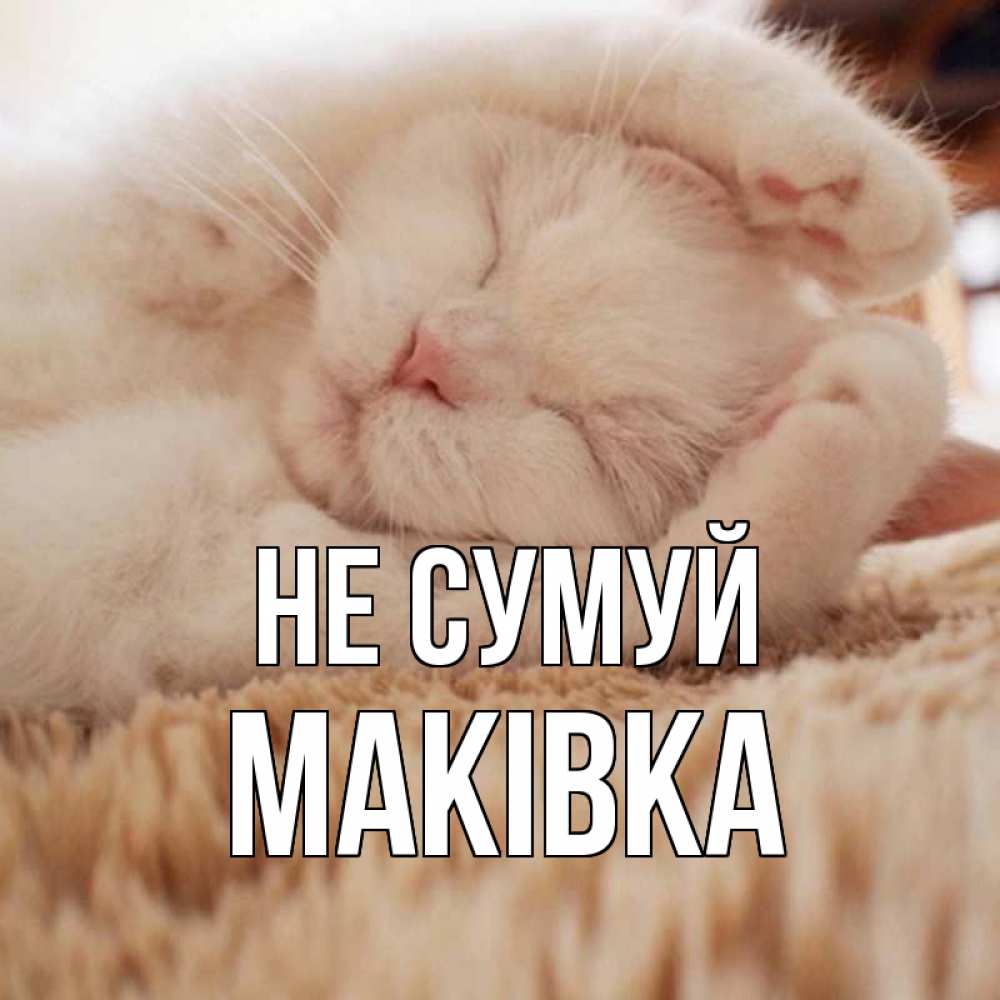 Открытка на каждый день з підписом, Маківка Не сумуй белый кот Прикольна листівка з побажанням онлайн скачати безкоштовно 