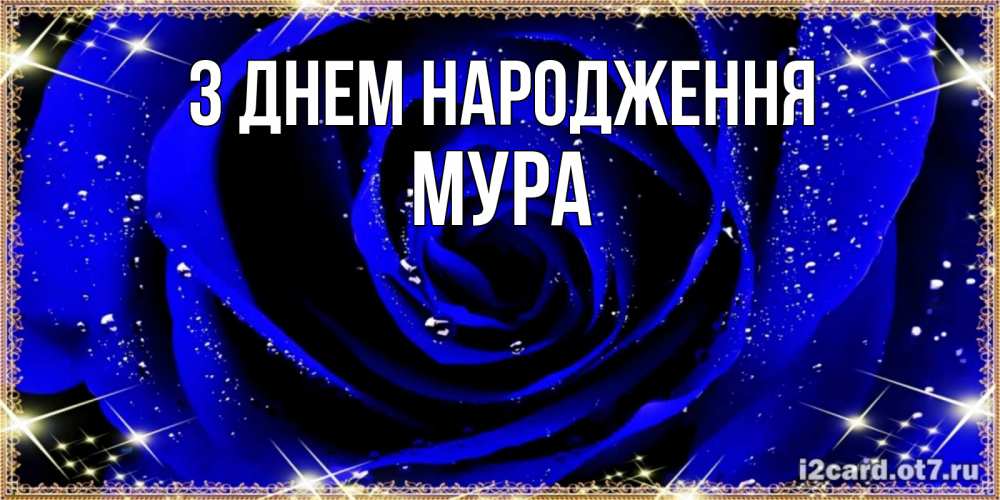 Открытка на каждый день з підписом, Мура З Днем народження голубые цветы в росе Прикольна листівка з побажанням онлайн скачати безкоштовно 