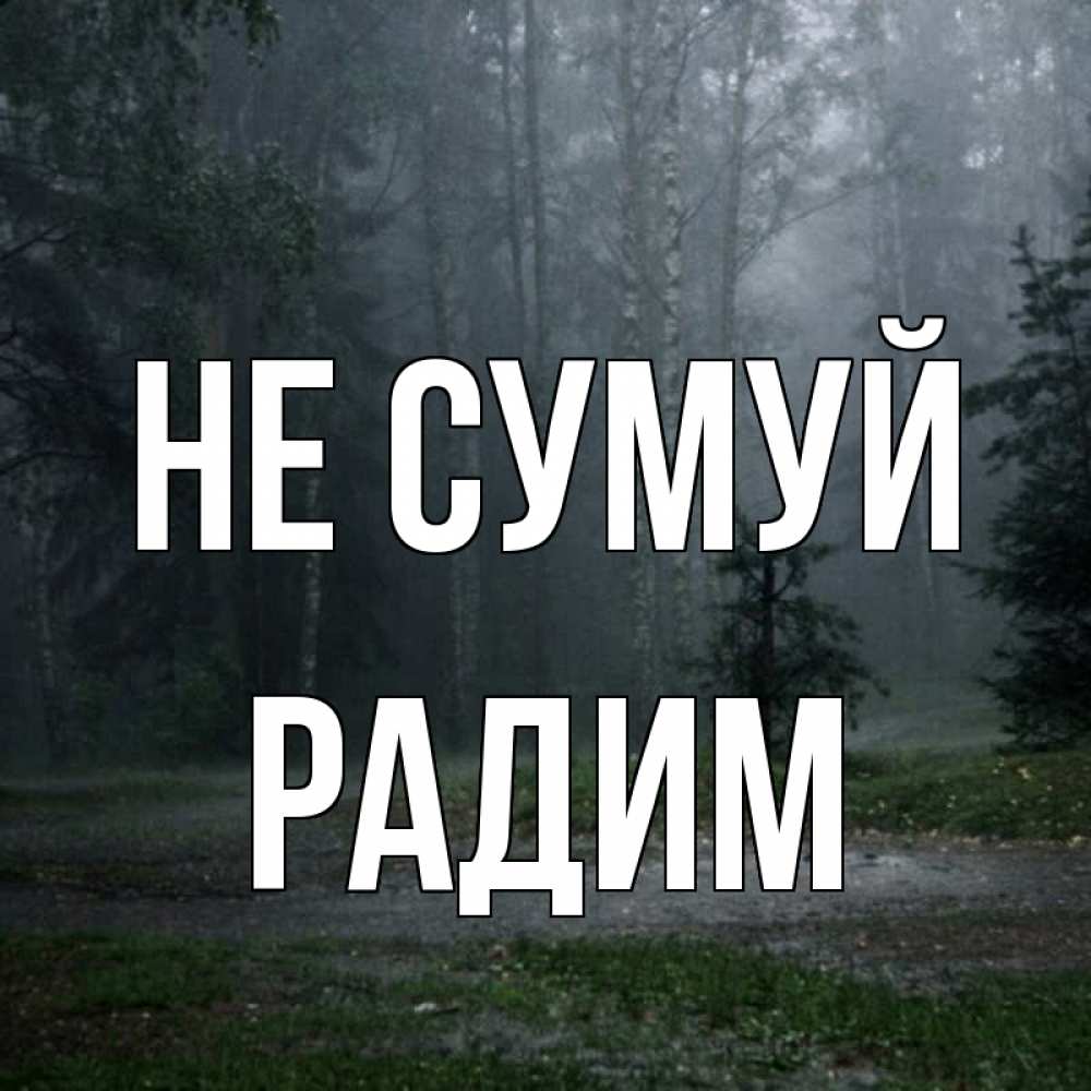 Открытка на каждый день з підписом, Радим Не сумуй осень Прикольна листівка з побажанням онлайн скачати безкоштовно 