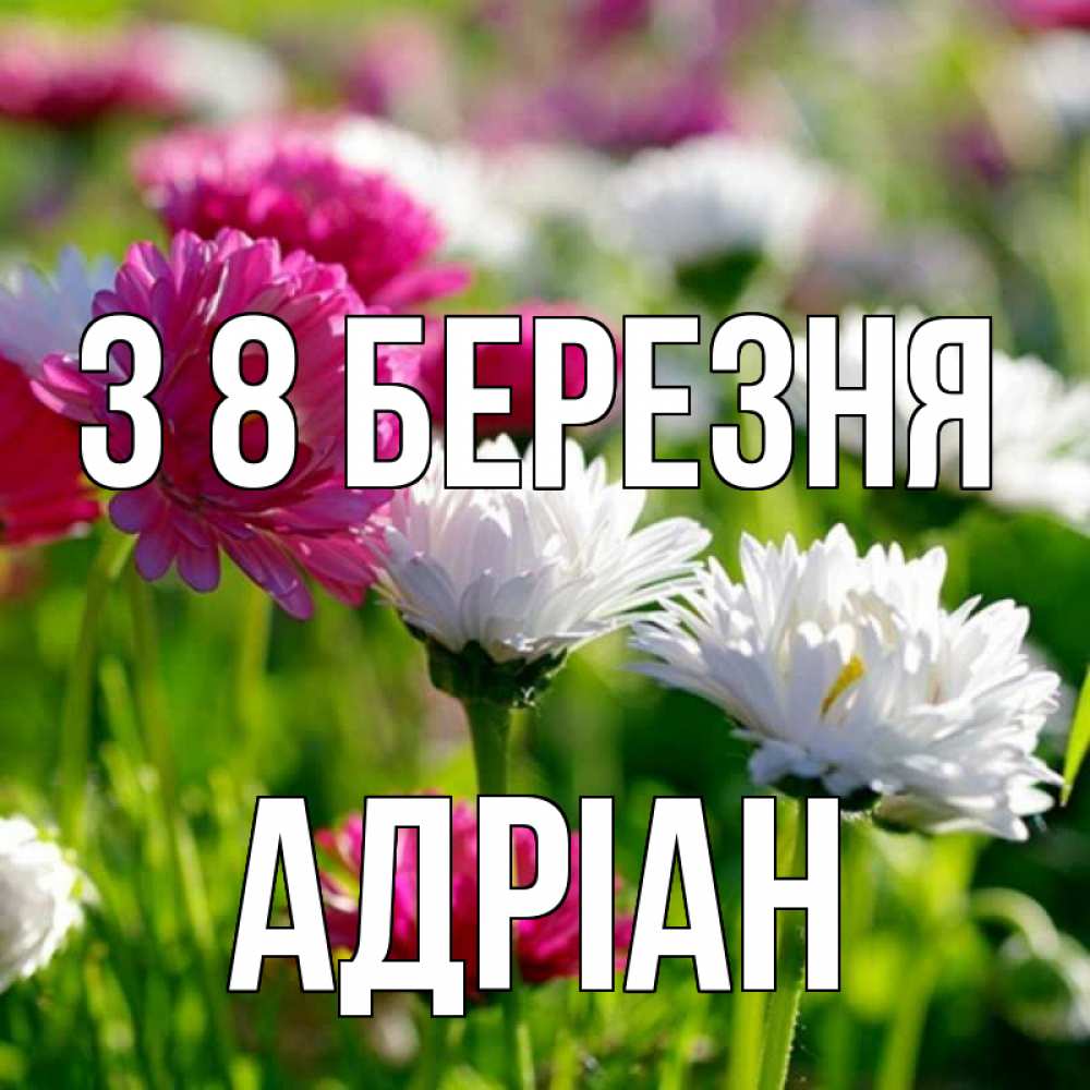 Открытка на каждый день з підписом, Адріан З 8 БЕРЕЗНЯ международный женский день 1 Прикольна листівка з побажанням онлайн скачати безкоштовно 
