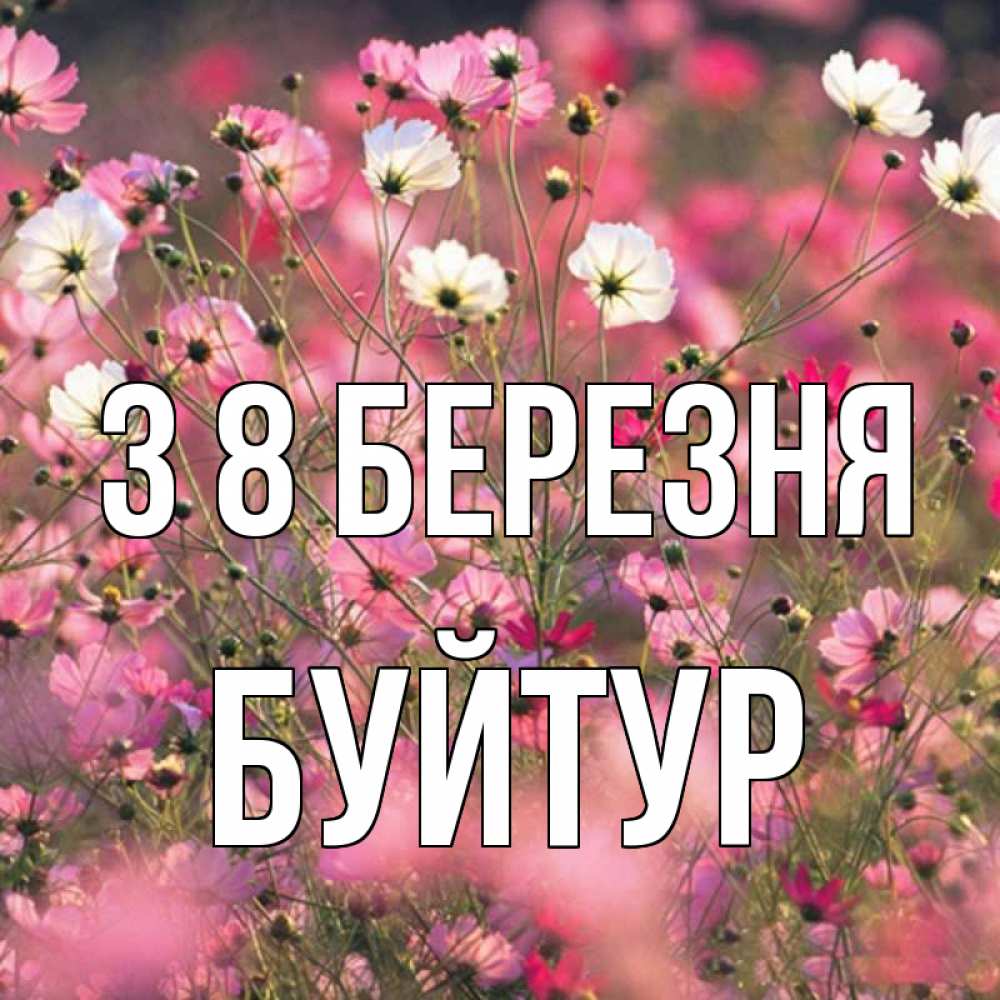 Открытка на каждый день з підписом, Буйтур З 8 БЕРЕЗНЯ красиво 1 Прикольна листівка з побажанням онлайн скачати безкоштовно 