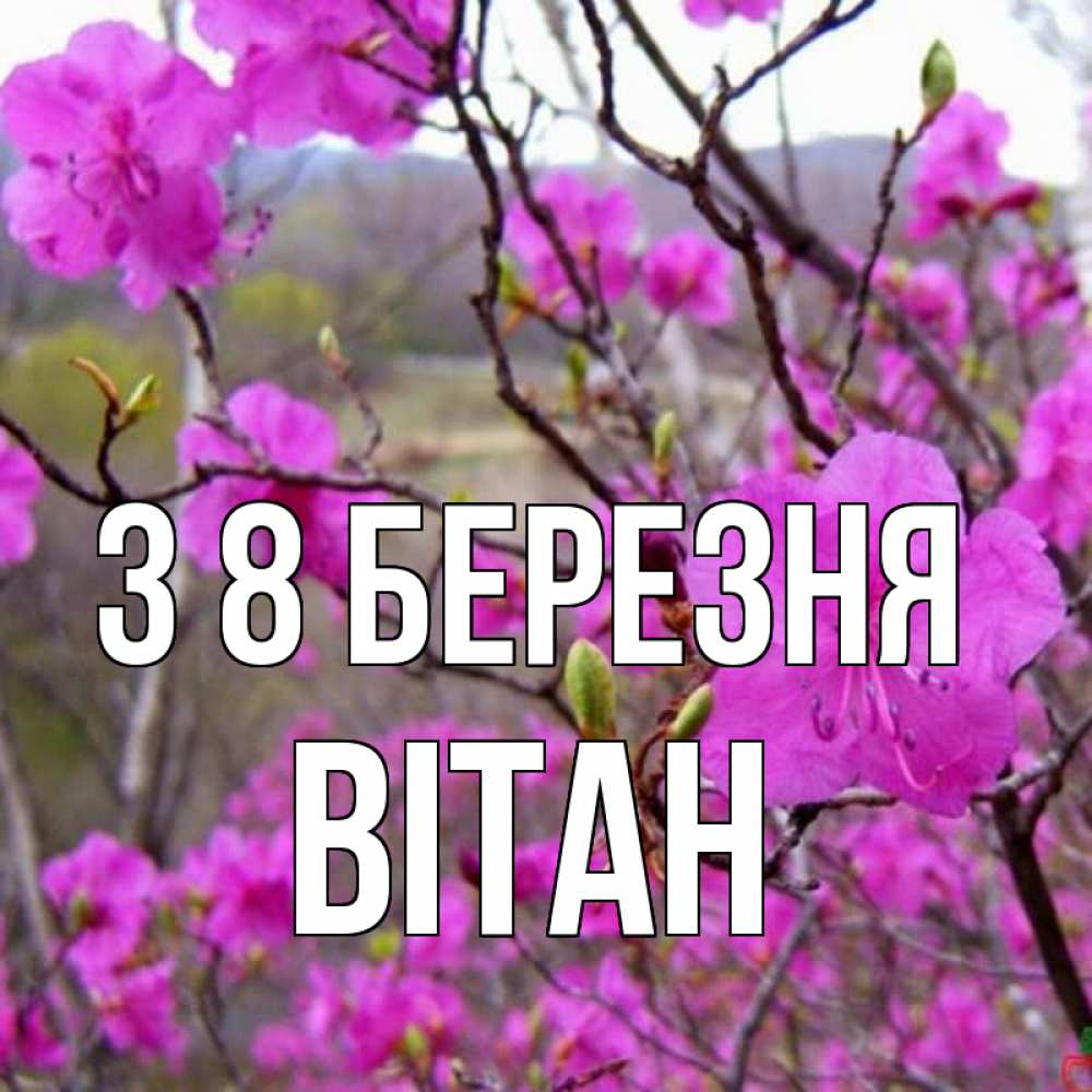Открытка на каждый день з підписом, Вітан З 8 БЕРЕЗНЯ международный женский день Прикольна листівка з побажанням онлайн скачати безкоштовно 