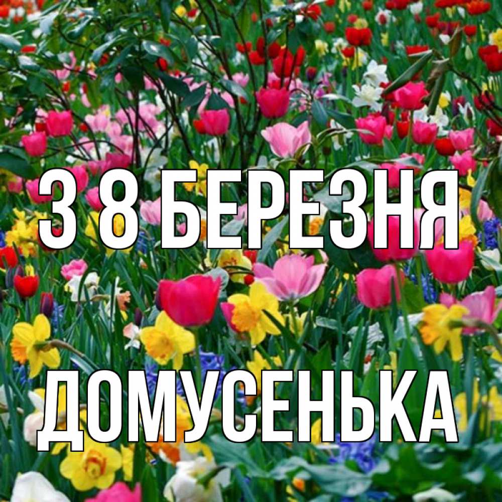 Открытка на каждый день з підписом, Домусенька З 8 БЕРЕЗНЯ с международным женским днем поздравления для женщины Прикольна листівка з побажанням онлайн скачати безкоштовно 