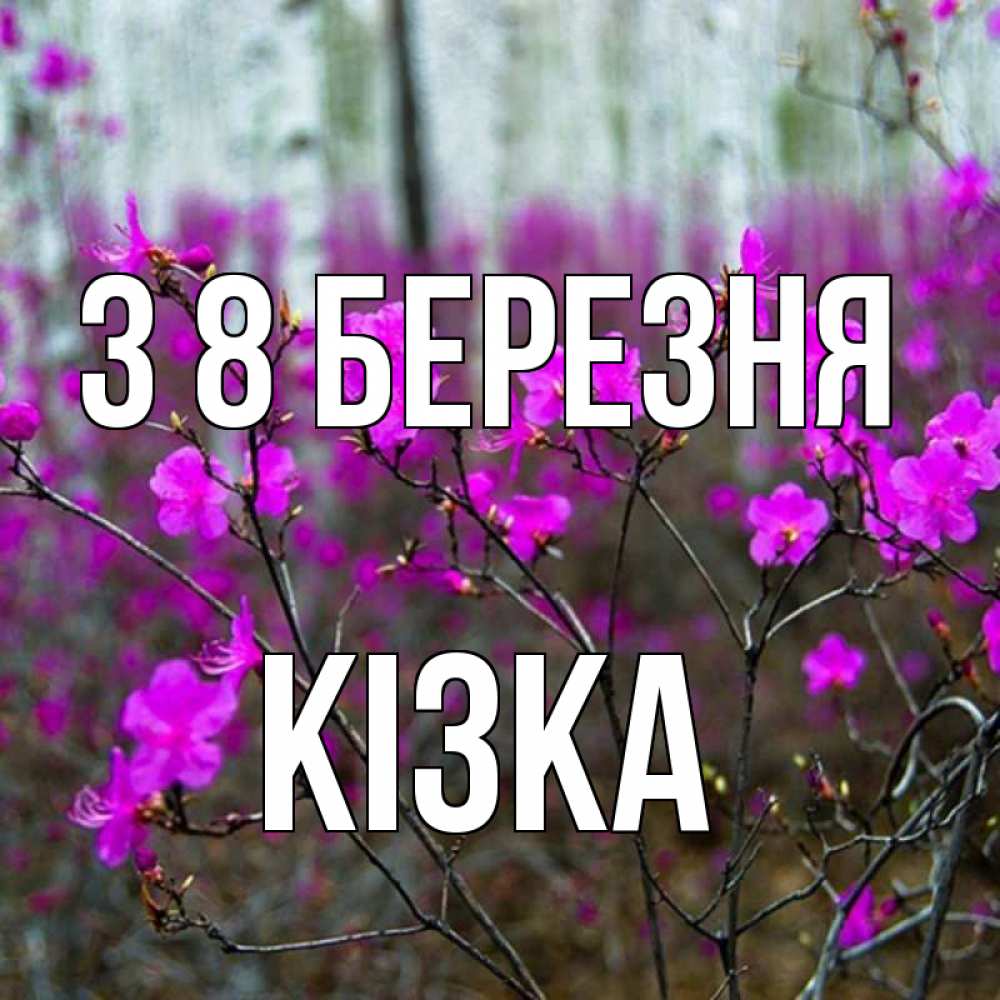 Открытка на каждый день з підписом, Кізка З 8 БЕРЕЗНЯ дикие цветы Прикольна листівка з побажанням онлайн скачати безкоштовно 