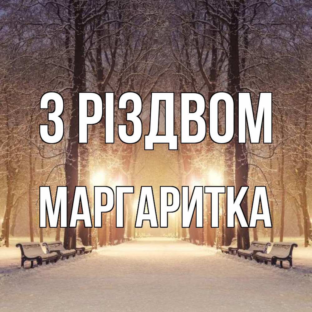Открытка на каждый день з підписом, Маргаритка З Різдвом зима, парк, фонарь, лес Прикольна листівка з побажанням онлайн скачати безкоштовно 