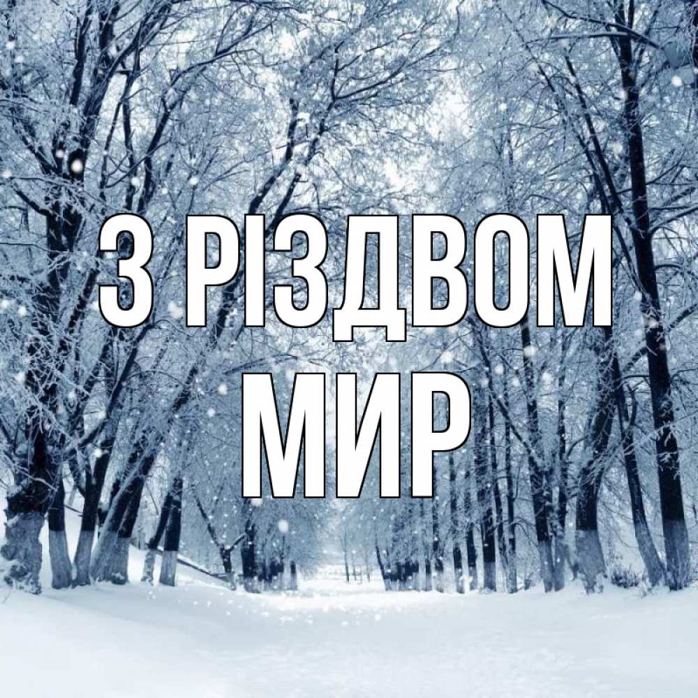 Открытка на каждый день з підписом, Мир З Різдвом снег, лес, парк Прикольна листівка з побажанням онлайн скачати безкоштовно 