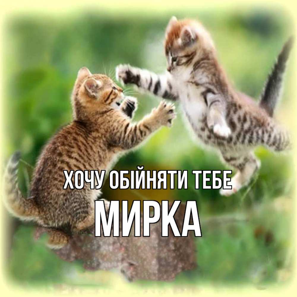 Открытка на каждый день з підписом, Мирка Хочу обійняти тебе игры котят Прикольна листівка з побажанням онлайн скачати безкоштовно 