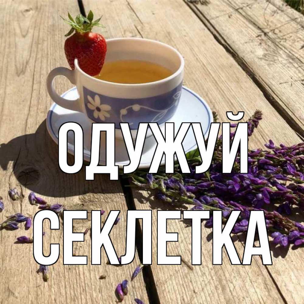 Открытка на каждый день з підписом, Секлетка Одужуй чай Прикольна листівка з побажанням онлайн скачати безкоштовно 