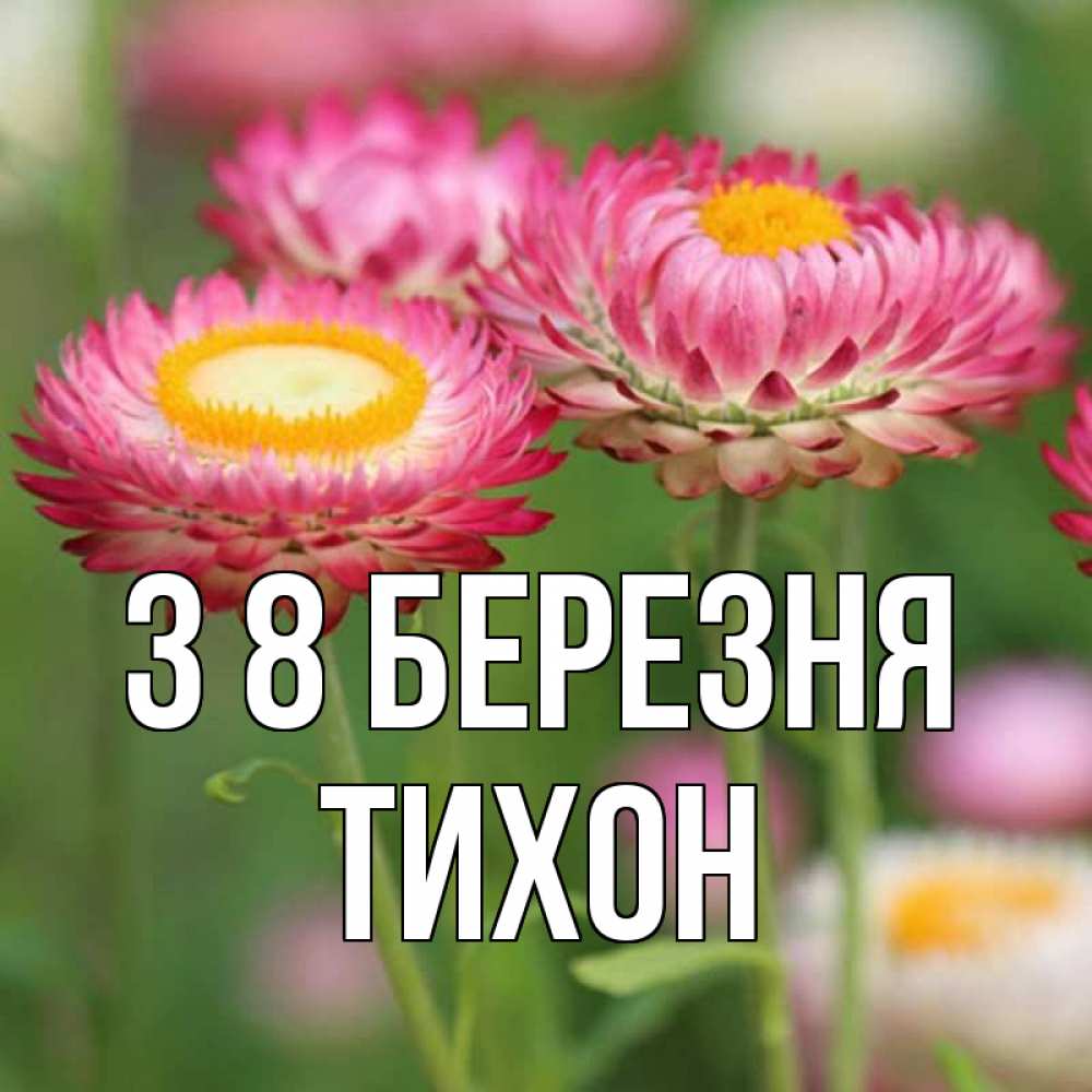 Открытка на каждый день з підписом, Тихон З 8 БЕРЕЗНЯ подарок на международный женский день Прикольна листівка з побажанням онлайн скачати безкоштовно 