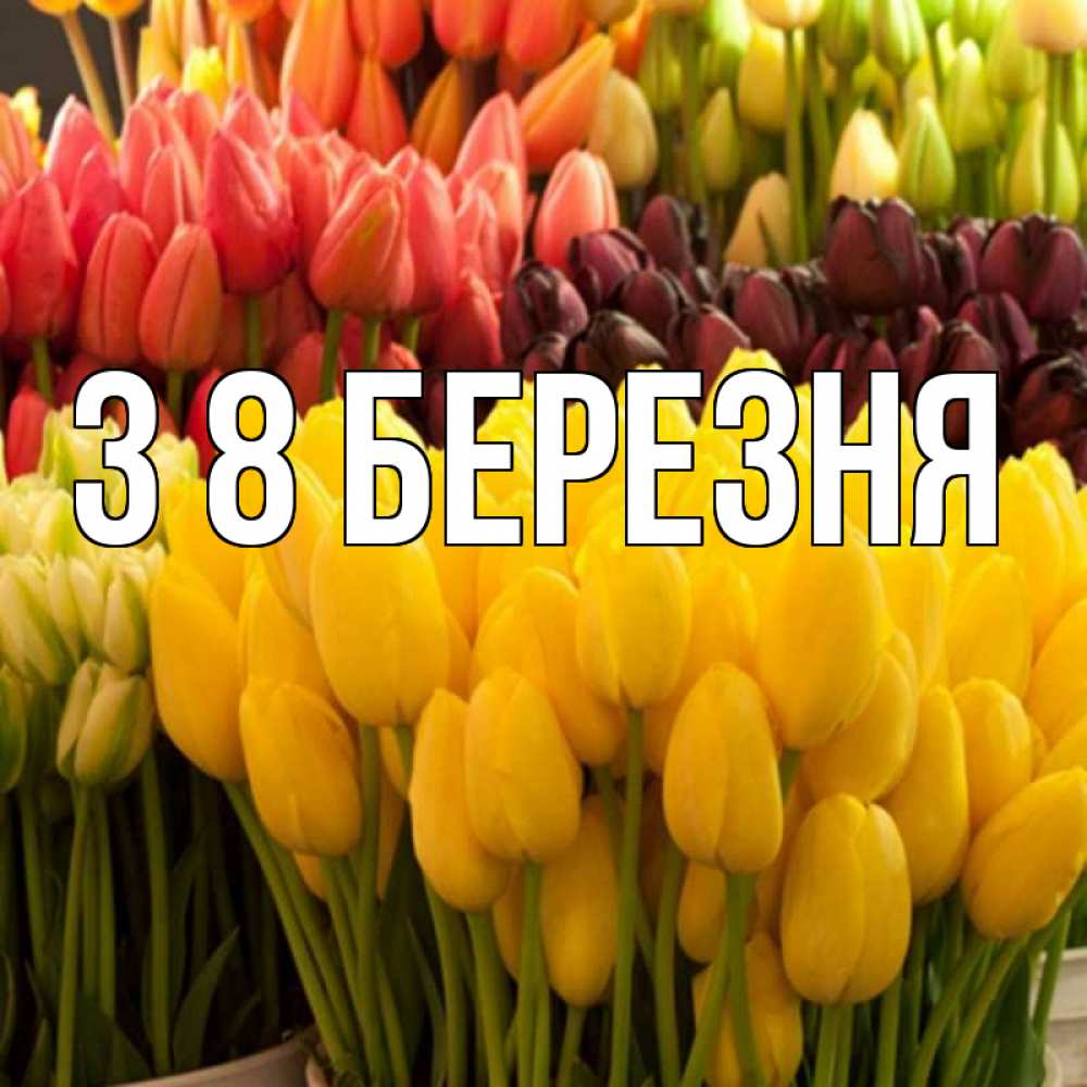 Открытка на каждый день з підписом, выберите-имя З 8 БЕРЕЗНЯ цветы Прикольна листівка з побажанням онлайн скачати безкоштовно 