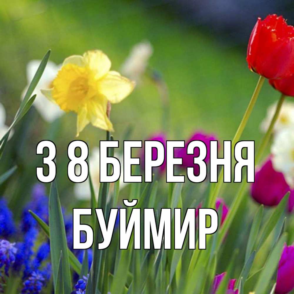 Открытка на каждый день з підписом, Буймир З 8 БЕРЕЗНЯ международный женский день 3 Прикольна листівка з побажанням онлайн скачати безкоштовно 
