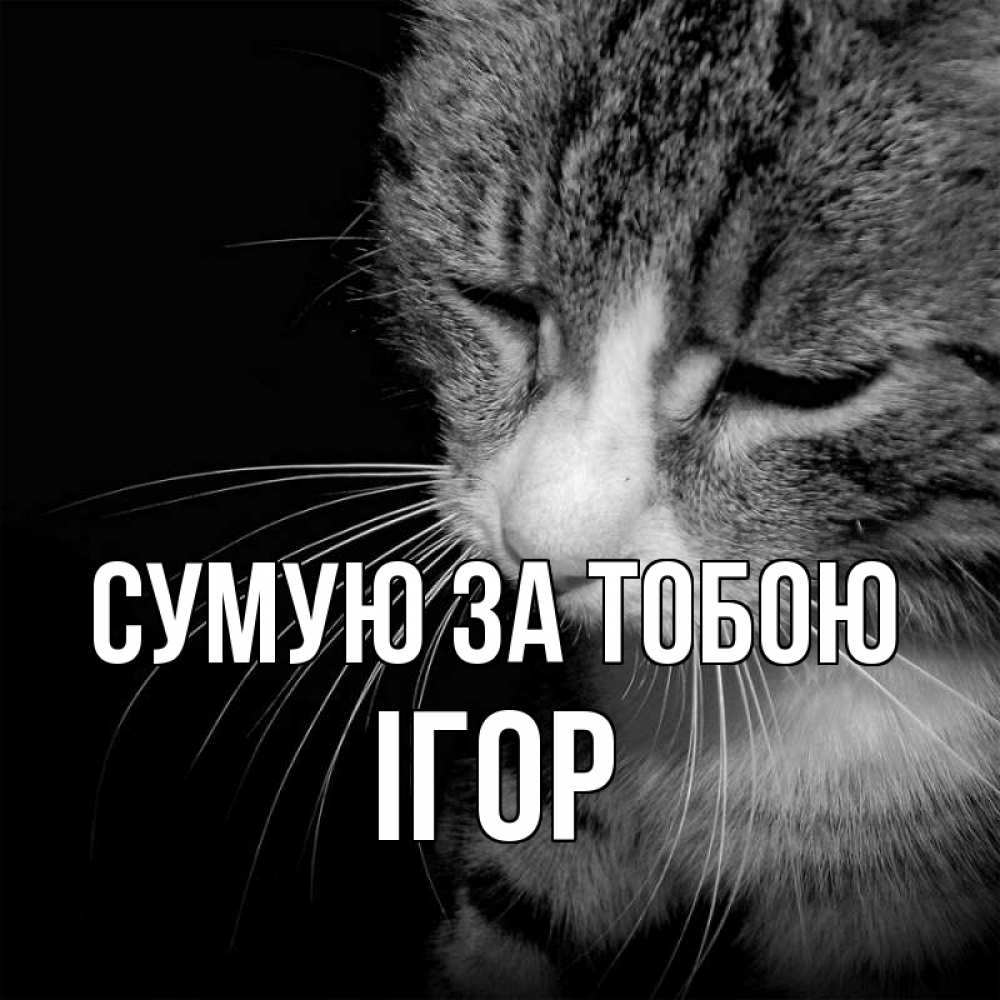 Открытка на каждый день з підписом, Ігор Сумую за тобою мне скучно Прикольна листівка з побажанням онлайн скачати безкоштовно 