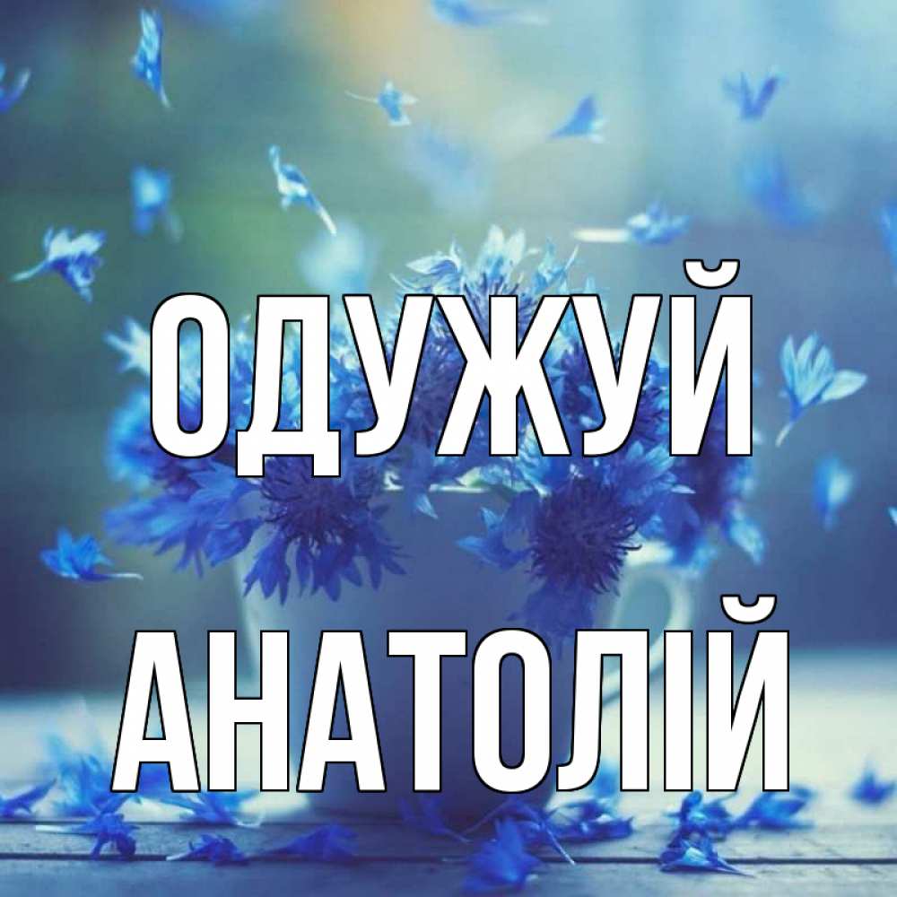 Открытка на каждый день з підписом, Анатолій Одужуй кружка с зельем и цветами Прикольна листівка з побажанням онлайн скачати безкоштовно 