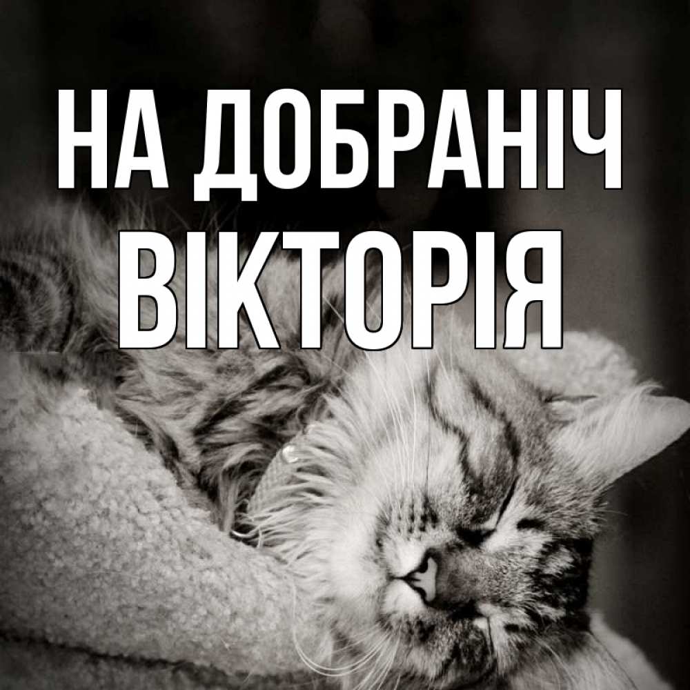 Открытка на каждый день з підписом, Вікторія На добраніч котярик пушистый Прикольна листівка з побажанням онлайн скачати безкоштовно 