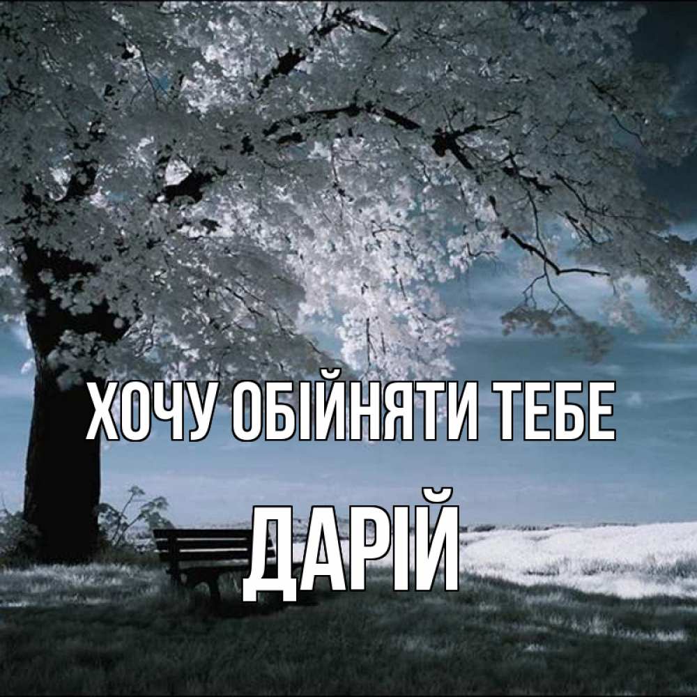 Открытка на каждый день з підписом, Дарій Хочу обійняти тебе дерево Прикольна листівка з побажанням онлайн скачати безкоштовно 