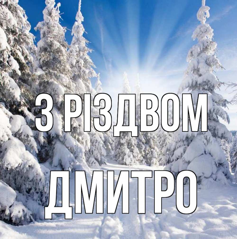 Открытка на каждый день з підписом, Дмитро З Різдвом зима, лес Прикольна листівка з побажанням онлайн скачати безкоштовно 
