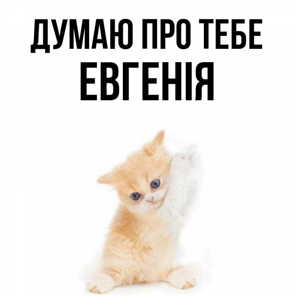 Открытка на каждый день з підписом, Евгенія Думаю про тебе зверушки и милота Прикольна листівка з побажанням онлайн скачати безкоштовно 