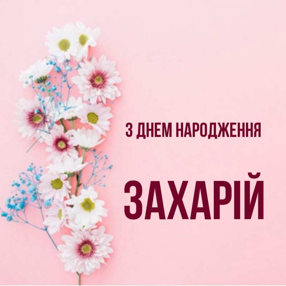 Открытка на каждый день з підписом, Захарій З Днем народження Родная моя с днем рождения тебя картинка с цветами белыми и голубыми Прикольна листівка з побажанням онлайн скачати безкоштовно 