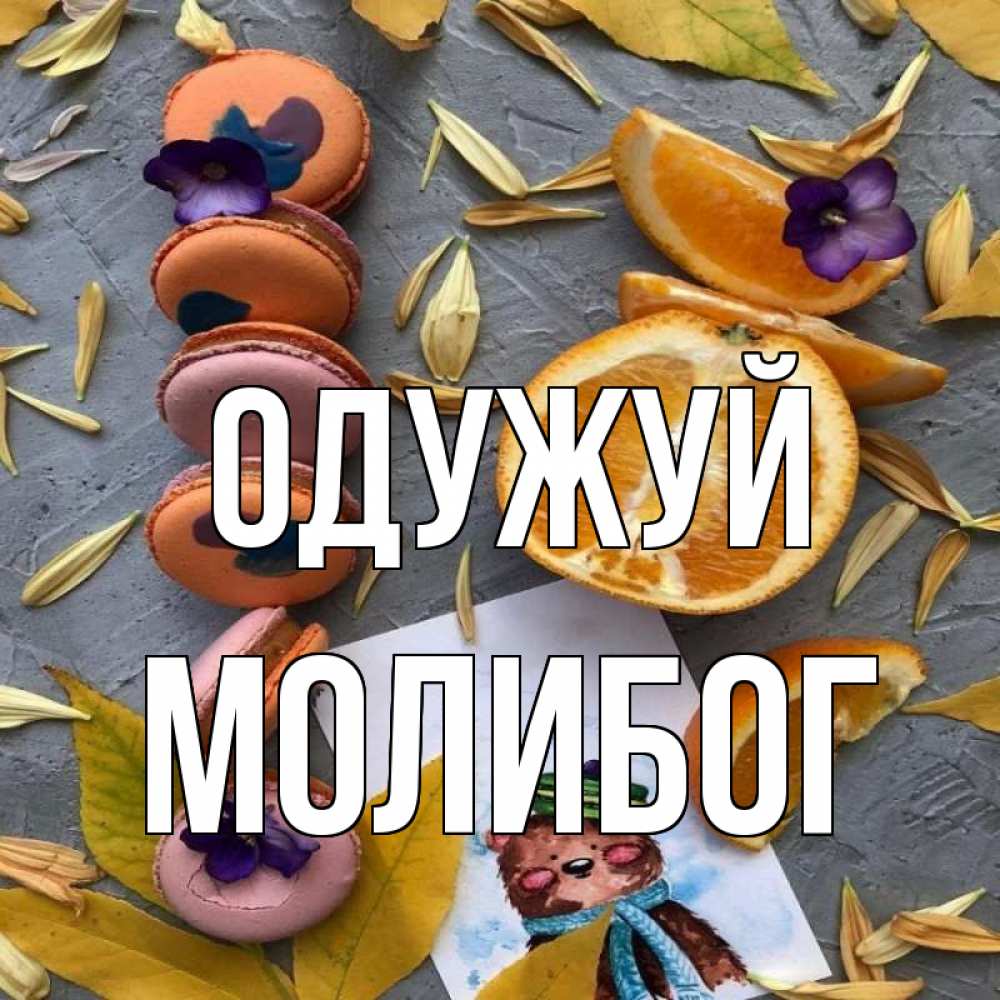 Открытка на каждый день з підписом, Молибог Одужуй не болейте Прикольна листівка з побажанням онлайн скачати безкоштовно 
