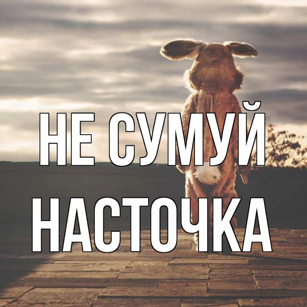 Открытка на каждый день з підписом, Насточка Не сумуй со спины Прикольна листівка з побажанням онлайн скачати безкоштовно 