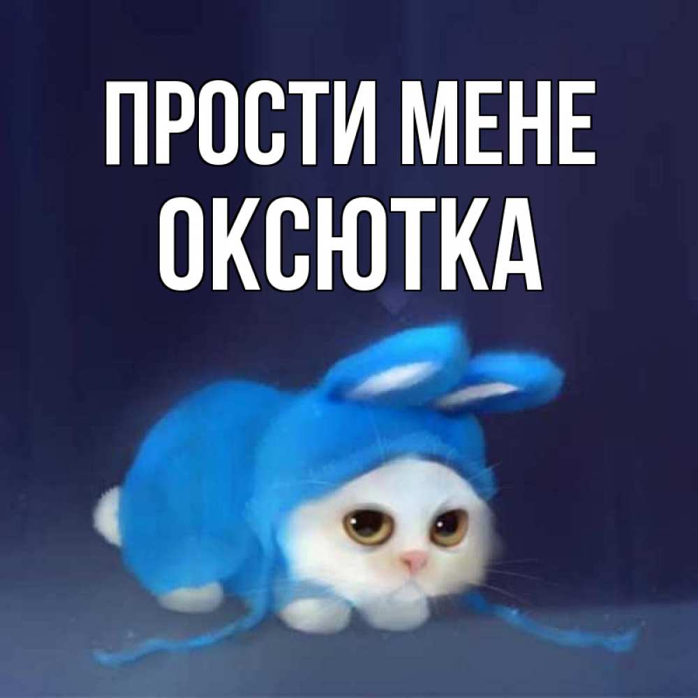 Открытка на каждый день з підписом, Оксютка Прости мене невинный котозай просит прощения Прикольна листівка з побажанням онлайн скачати безкоштовно 